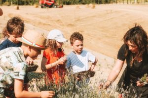 Agriturismo Kinder Toscane - Agriturismo Diacceroni