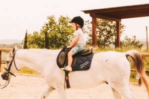 Agriturismo horseback riding Tuscany - Agriturismo Diacceroni