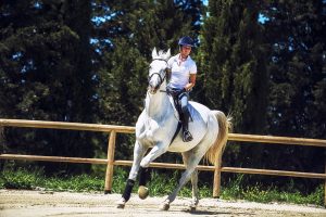 Paardrijden Toscane - Agriturismo Diacceroni