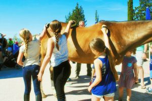 Agriturismo per bambini con maneggio Toscana - Agriturismo Diacceroni